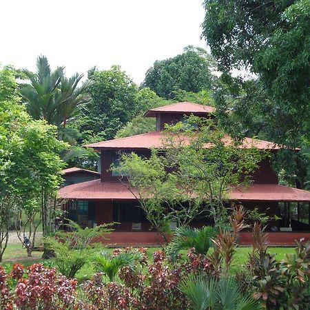 Hotel Veragua River House Sierpe Zewnętrze zdjęcie