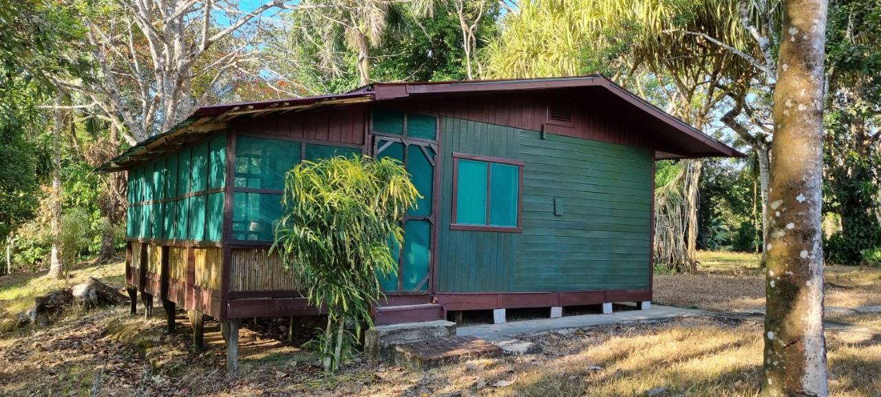Hotel Veragua River House Sierpe Zewnętrze zdjęcie