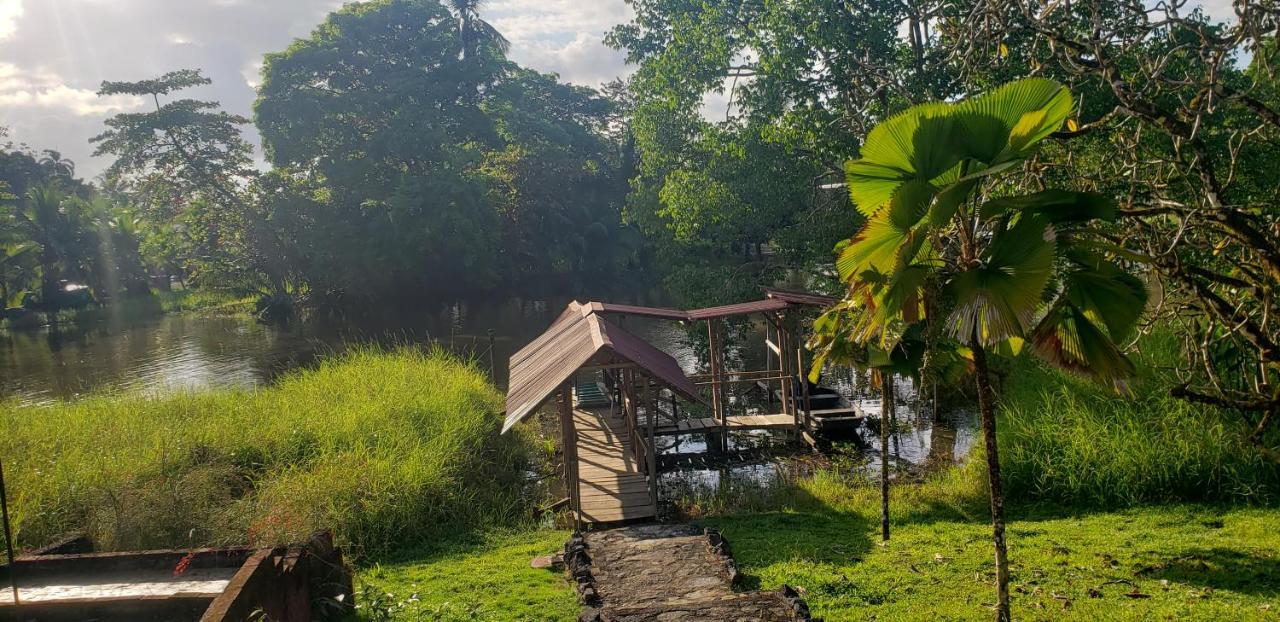 Hotel Veragua River House Sierpe Zewnętrze zdjęcie