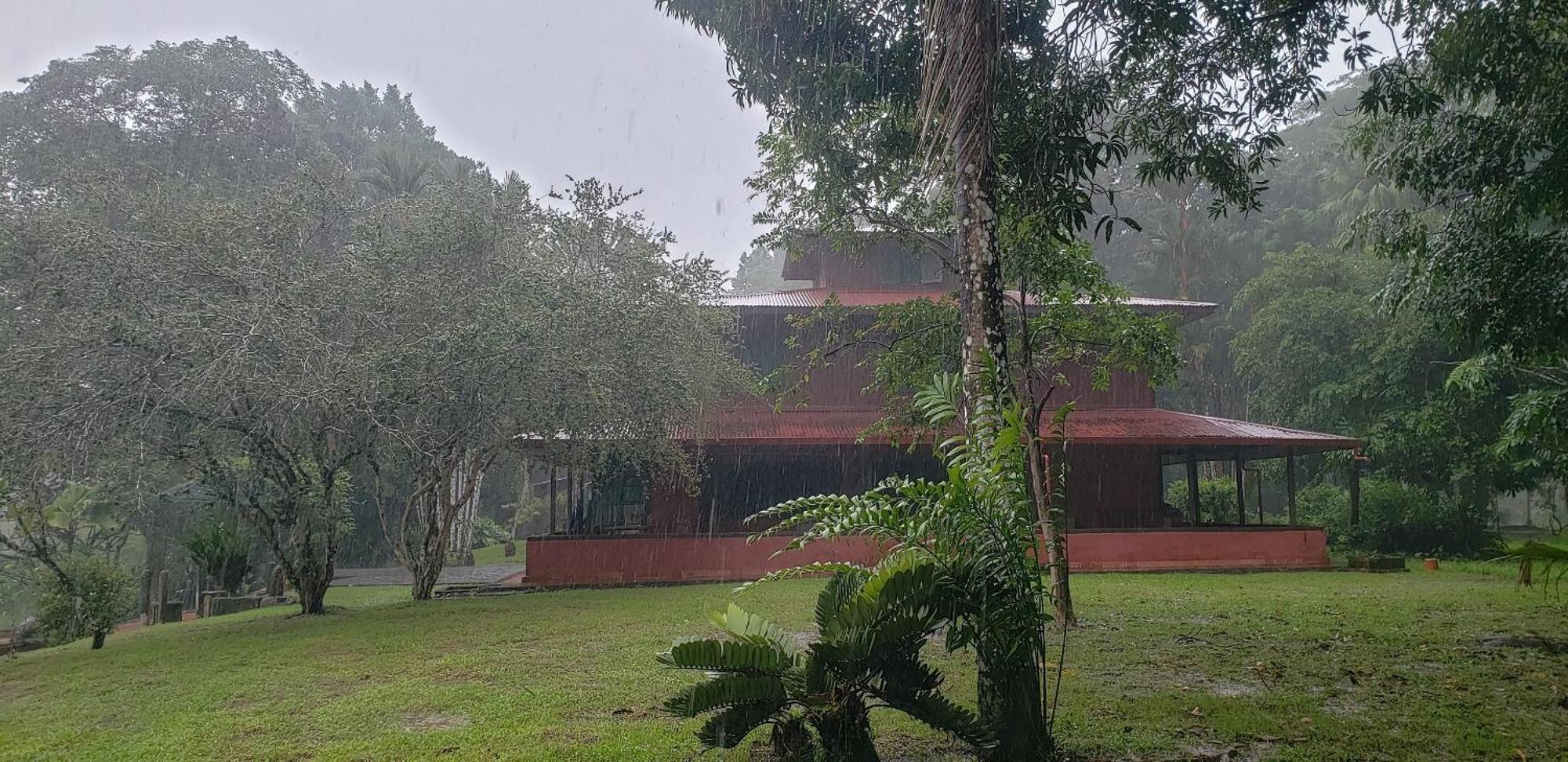 Hotel Veragua River House Sierpe Zewnętrze zdjęcie