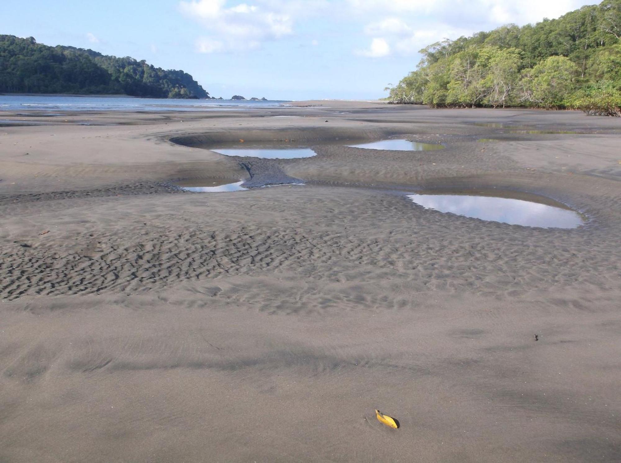 Hotel Veragua River House Sierpe Zewnętrze zdjęcie