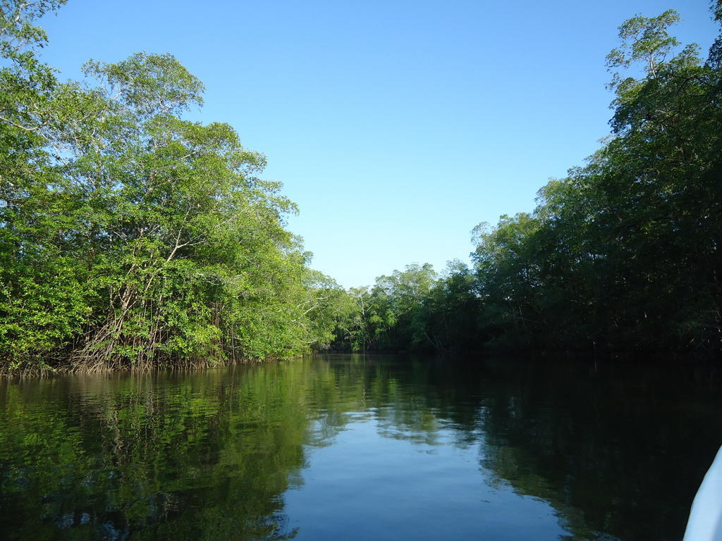 Hotel Veragua River House Sierpe Zewnętrze zdjęcie