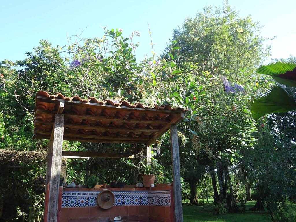 Hotel Veragua River House Sierpe Zewnętrze zdjęcie
