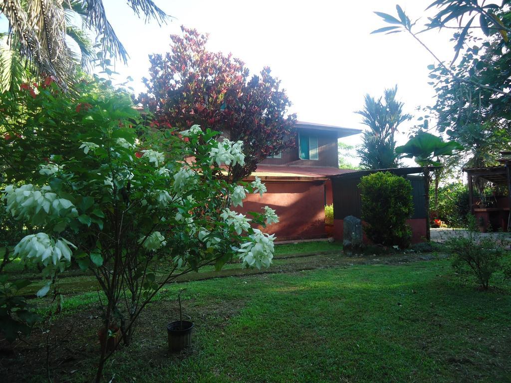 Hotel Veragua River House Sierpe Zewnętrze zdjęcie