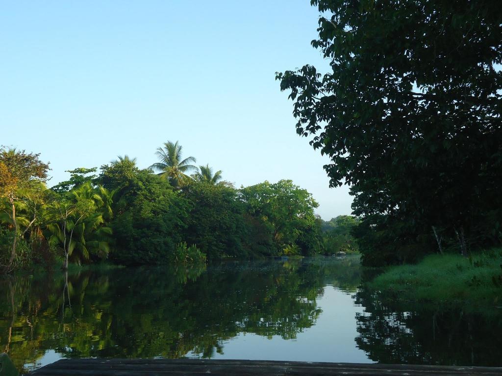 Hotel Veragua River House Sierpe Zewnętrze zdjęcie